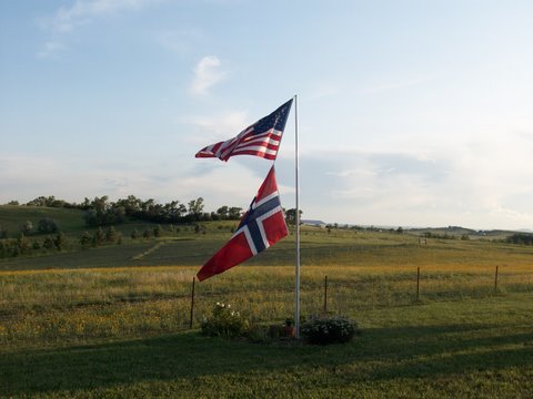 flags.jpg